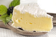 Camembert Camembert