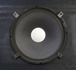 Giant 15 Inch Bass Speaker