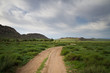 Chemin Chemin