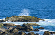 Sea Spray
