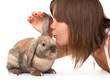 Girl make a wish in the year of rabbit.