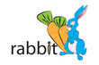 rabbit design