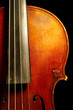 Fragment of violin Fragment of violin