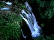 Provence31
