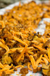 funghi cantharellus tubiformis