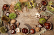Autumn border with nuts