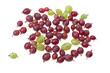 Berries