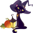 Halloween kitten with pumpkin