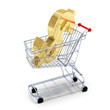 Carrello della spesa con Dollaro