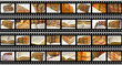 Photo: Libros antiguos Libros antiguos