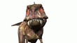 Tyrannosaurus rex the big bite