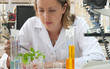 Scientist researching a green plant Scientist researching a green plant