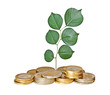 Tree seedling  growing from pile of coins