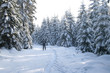 Winterlandschaft