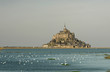 Les mouettes du Mont St Michel Les mouettes du Mont St Michel