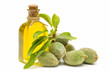 almendras verdes y aceite de almendra en fondo blanco almendras verdes y aceite de almendra en fondo blanco