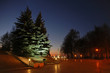 Night city park scene
