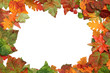 Foto: Rahmen aus herbstlichen Blättern Rahmen aus herbstlichen Blättern