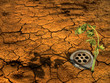 Photo: Global warming concept Global warming concept
