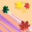 autumn autumn