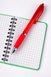 Opened notebook and red pen