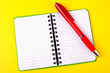 Opened notebook and red pen