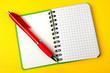 Opened notebook and red pen