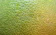 Grapefruit Skin