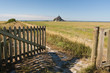 Open Gate to French Field Open Gate to French Field
