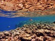 Red Sea