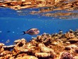 Underwater
