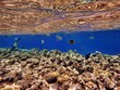 Underwater
