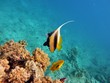 Underwater