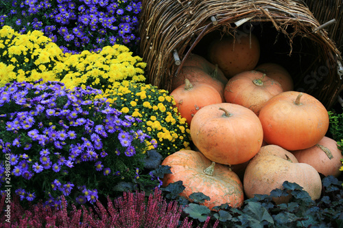 Photo: Autumn decoration Autumn decoration