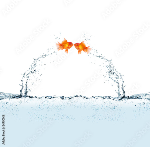 rencontre divorcee maroc