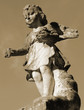 protector