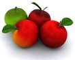 apples isolated on white