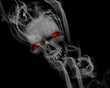Smoking skull