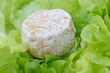 fromage de chèvre sur lit de salades