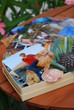 Urlaubsfotos