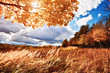 Autumn at the morning park