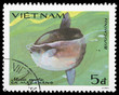 Fish on a postage stamp Fish on a postage stamp