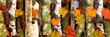 Herbst Panorama