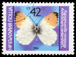 Butterfly on a postage stamp Butterfly on a postage stamp