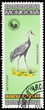 Bird on a postage stamp Bird on a postage stamp
