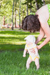 Mom teaches her baby to walk on the grass