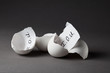 Borrowing from the Nest Egg
