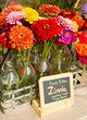 Fresh Zinnias for Sale
