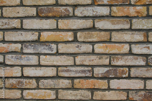 Photo: Brick wall Brick wall