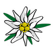 Foto: Edelweiss Edelweiss